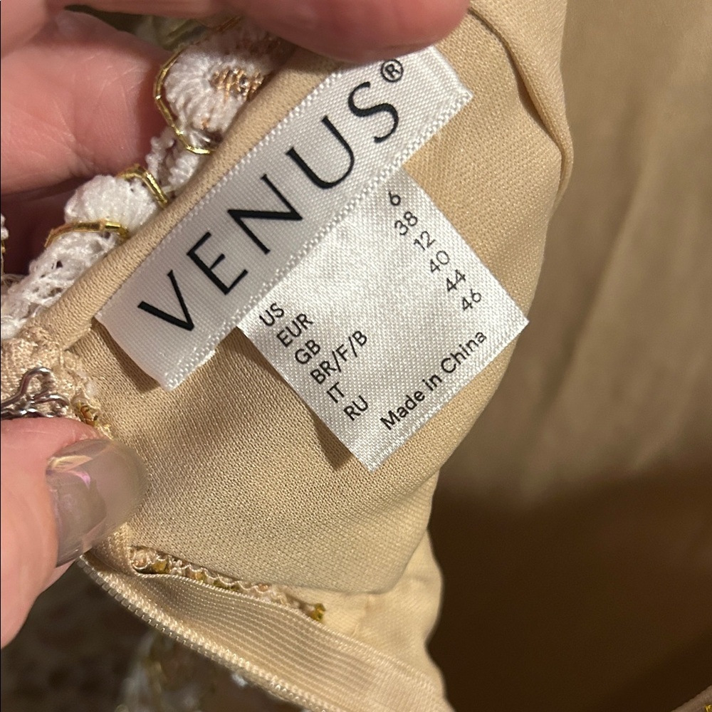 VENUS Lace Long Sleeve Dress in Cream and Gold with Expose back. Nude liner - Picture 2 of 11